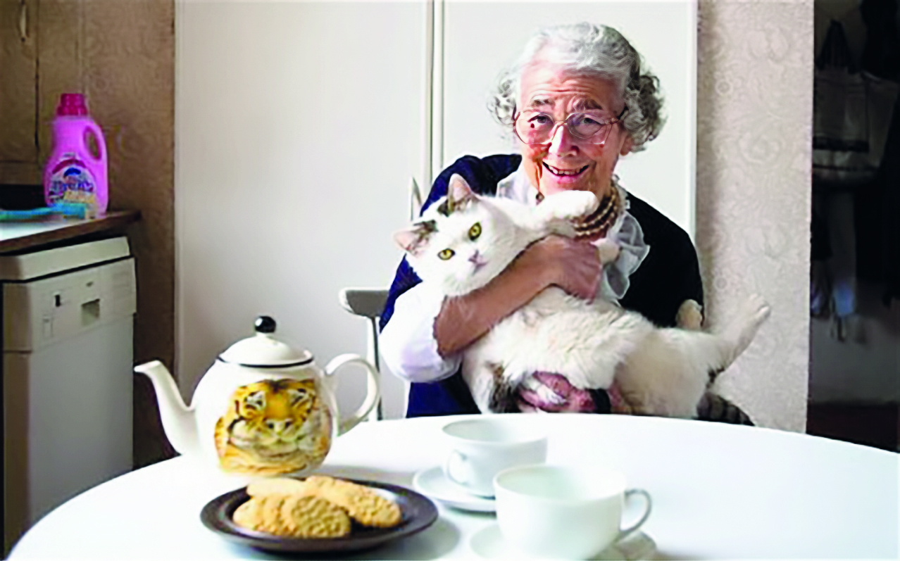 Judith Kerr: Hitler Oyuncağımı Çaldı